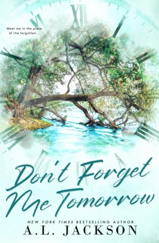 Don't Forget Me Tomorrow: Alternate Cover (Time River, Band 2)