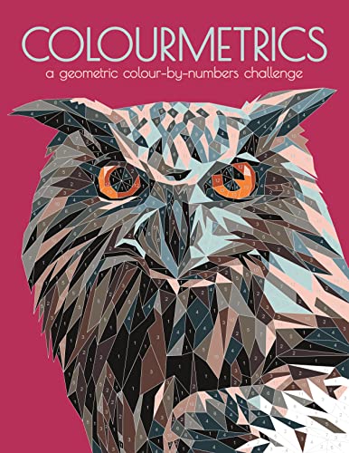 Colourmetrics: A Geometric Colour by Numbers Challenge von Buster Books