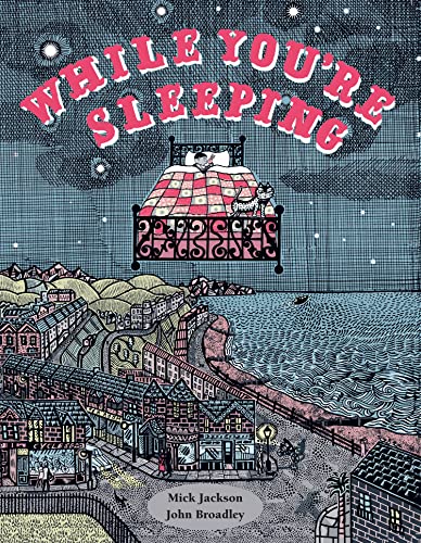 While You're Sleeping: A stunning illustrated children’s book exploring the night time world, now in paperback. von Pavilion Children’s Books