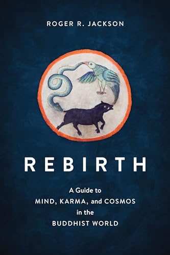 Rebirth: A Guide to Mind, Karma, and Cosmos in the Buddhist World von Shambhala Publications