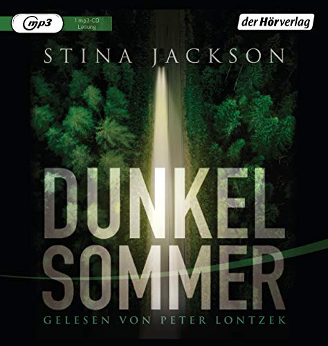 Dunkelsommer: Roman