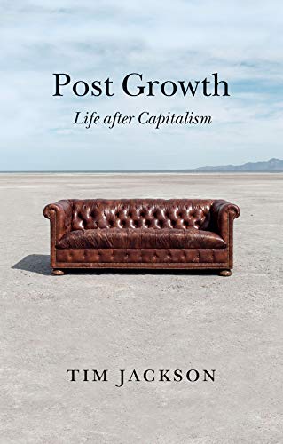 Post Growth: Life after Capitalism von Polity