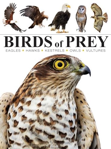 Birds of Prey (Mini Encyclopedia)