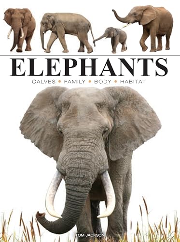 Elephants (Mini Encyclopedia) von Amber Books