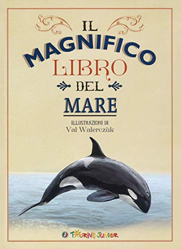 Il magnifico libro del mare Il magnifico libro del mare
