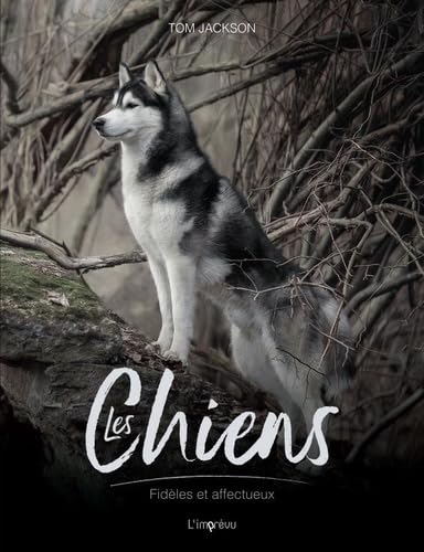 Les chiens: Fidèles et courageux Les chiens: Fidèles et courageux von L IMPREVU
