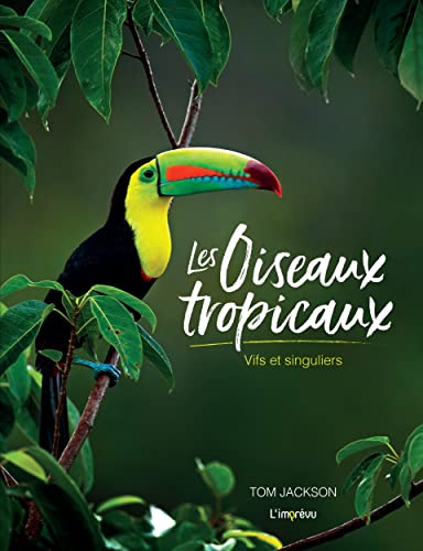 Les oiseaux tropicaux: Vifs et singuliers von L IMPREVU