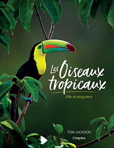 Les oiseaux tropicaux: Vifs et singuliers Les oiseaux tropicaux: Vifs et singuliers