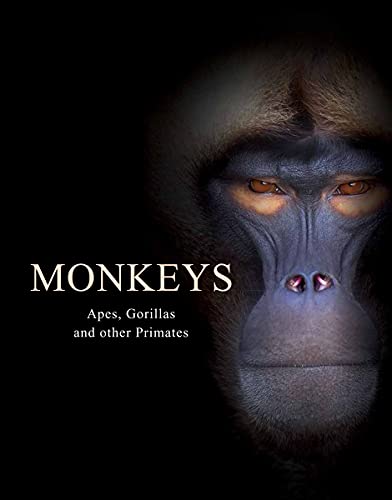 Monkeys: Apes, Gorillas and Other Primates (Animals in Photographs) von Amber