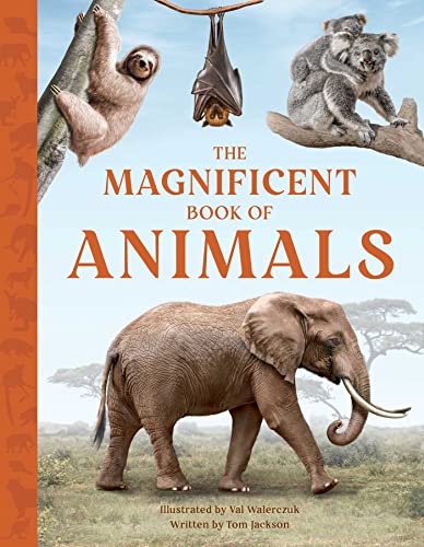 The Magnificent Book of Animals The Magnificent Book of Animals