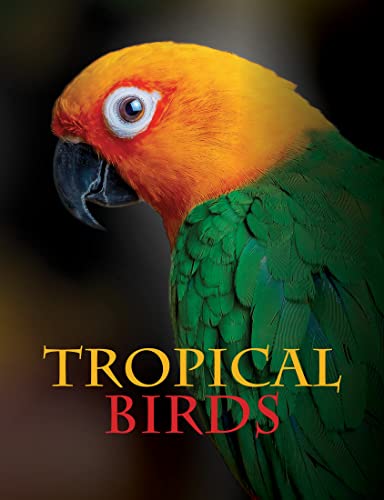 Tropical Birds (Animals in Photographs) von Amber