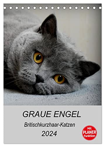 Graue Engel - Britischkurzhaar-Katzen (Tischkalender 2024 DIN A5 hoch), CALVENDO Monatskalender