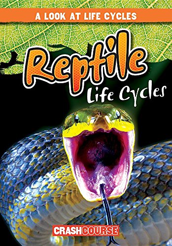 Reptile Life Cycles (A Look at Life Cycles)