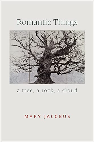 Romantic Things: A Tree, a Rock, a Cloud von University of Chicago Press