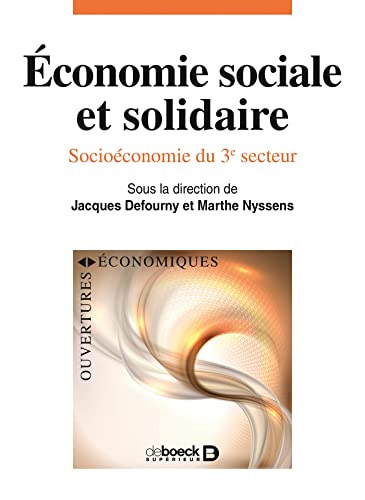 Économie sociale et solidaire, Socioéconomie du 3e secteur