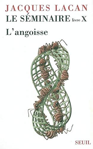 Le Séminaire Livre X, tome 10: L'angoisse (1962-1963)