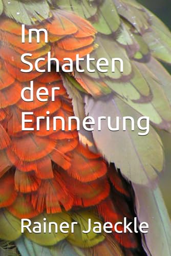Im Schatten der Erinnerung von Independently published