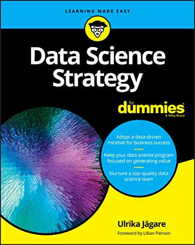 Data Science Strategy For Dummies von For Dummies