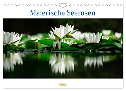 Malerische Seerosen (Wandkalender 2024 DIN A4 quer), CALVENDO Monatskalender