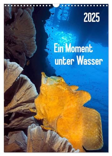 Ein Moment unter Wasser (Wandkalender 2025 DIN A3 hoch), CALVENDO Monatskalender von CALVENDO