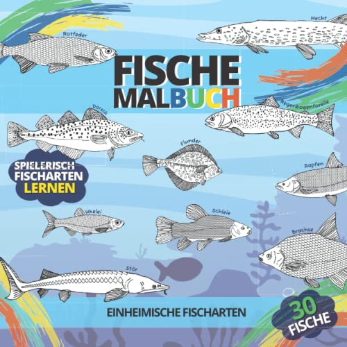 FISCHE MALBUCH | 30 einheimische Fischarten | spielerisch Fischarten lernen: Ausmalbuch für Kinder & Nachwuchsangler | 21,59 x 21,59 cm