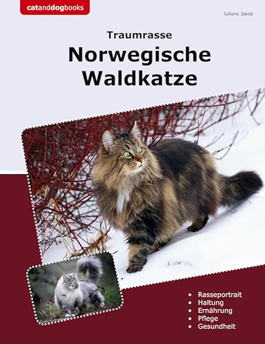 Traumrasse Norwegische Waldkatze