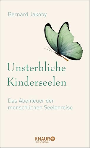 Unsterbliche Kinderseelen: Das Abenteuer der menschlichen Seelenreise