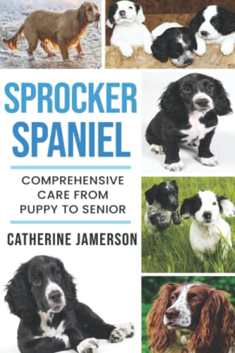 Sprocker Spaniel: Comprehensive Care from Puppy to Senior; Care, Health, Training, Behaviour, Understanding, Grooming, Costs and much more von Pet Education Publishing