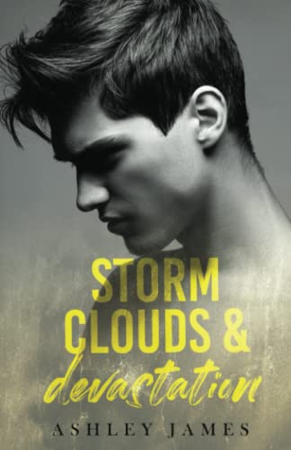 Storm Clouds and Devastation (Hidden Affairs, Band 2)