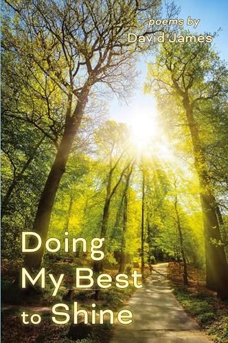Doing My Best to Shine von Shanti Arts LLC