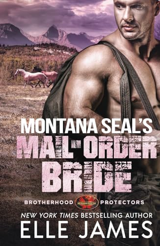 Montana SEAL's Mail-Order Bride (Brotherhood Protectors, Band 12) von Twisted Page Inc