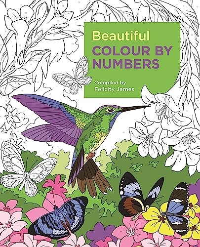 Beautiful Colour by Numbers (Arcturus Colour by Numbers Collection) von Arcturus