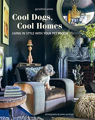 Cool Dogs, Cool Homes: Living in Style With Your Pet Pooch von Ryland Peters & Small
