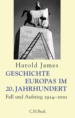 Geschichte Europas im 20. Jahrhundert. Fall und Aufstieg 1914 - 2001.