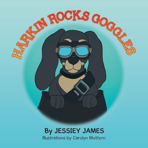 HARKIN ROCKS GOGGLES von Xlibris US