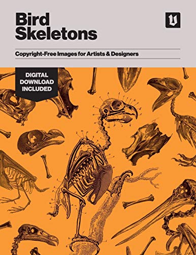 Bird Skeletons: Copyright-Free Images for Artists & Designers von Avenue House Press Pty Ltd