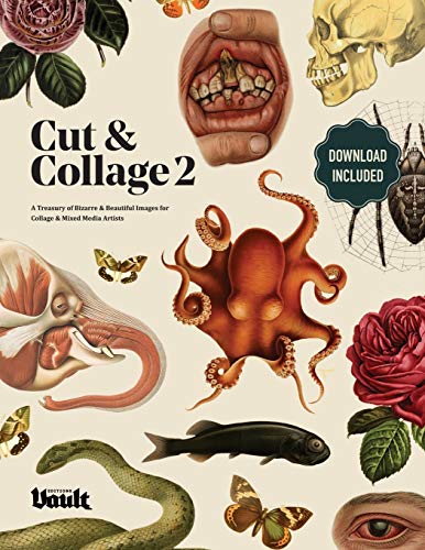 Cut and Collage: A Treasury of Bizarre and Beautiful Images Volume.2 von Avenue House Press Pty Ltd
