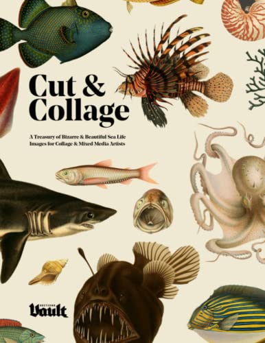 Cut & Collage: A Treasury of Bizarre and Beautiful Sea Life Images for Collage and Mixed Media Artists von Vault Editions Ltd