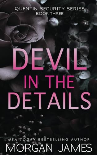 Devil in the Details (Quentin Security Series, Band 3)