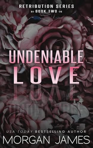 Undeniable Love (Retribution Series, Band 2)