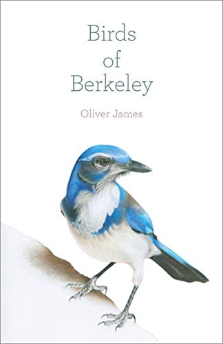 Birds of Berkeley (The Birds of California)