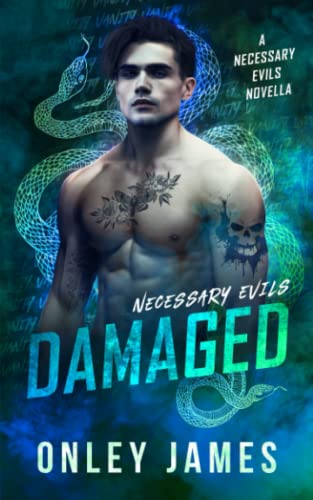 Damaged (Necessary Evils) von Independently published