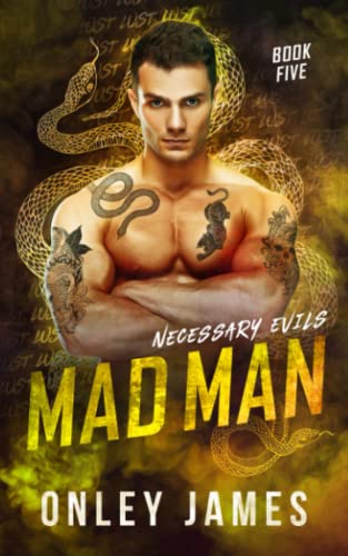 Mad Man (Necessary Evils, Band 5) von Independently published