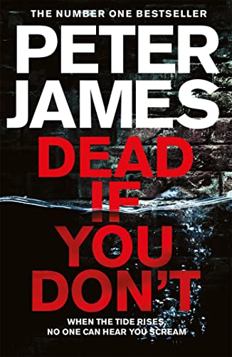 Dead If You Don't (Roy Grace, 14) von MACMILLAN