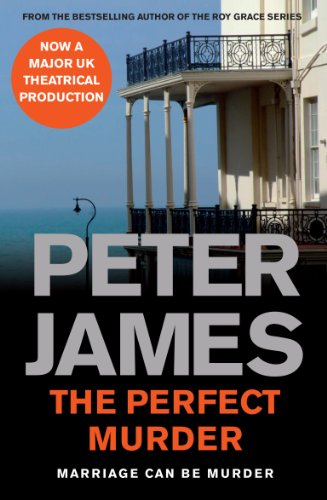 The Perfect Murder The Perfect Murder