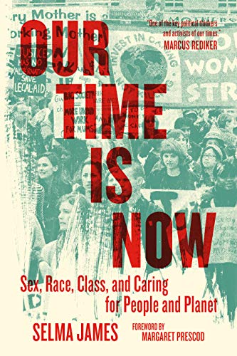 Our Time Is Now: Sex, Race, Class, and Caring for People and Planet von PM Press