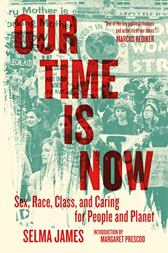 Our Time Is Now: Sex, Race, Class, and Caring for People and Planet von PM Press