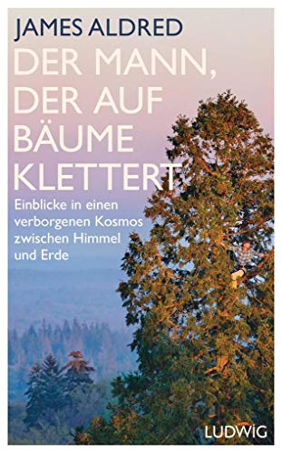 Der Mann, der auf Bäume klettert: Einblicke in einen verborgenen Kosmos zwischen Himmel und Erde