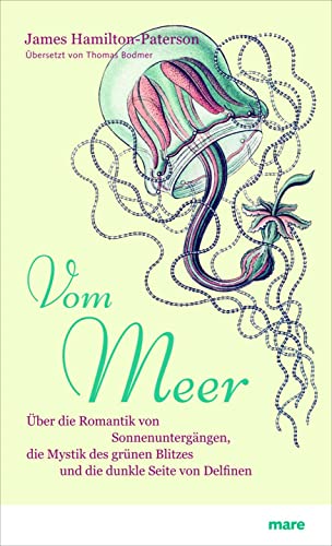 Vom Meer: Über die Romantik von Sonnenuntergängen, die Mystik des grünen Blitzes und die dunkle Seite von Delfinen