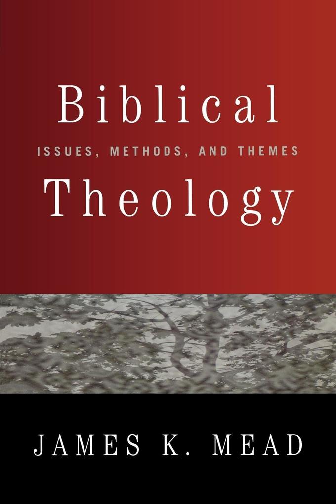 Biblical Theology von Westminster John Knox Press